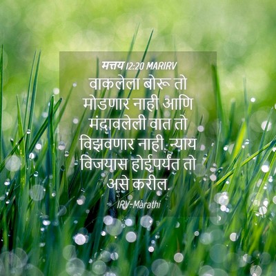 Picture 04 - मत्तय 12:20 MARIRV - वाकलेला बोरू तो - Bible Verse Picture