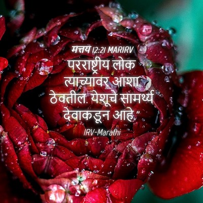 Picture 04 - मत्तय 12:21 MARIRV - परराष्ट्रीय लोक - Bible Verse Picture