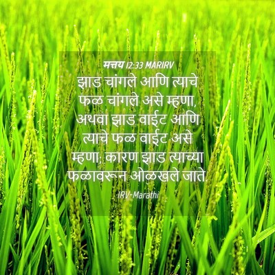Picture 04 - मत्तय 12:33 MARIRV - झाड चांगले आणि - Bible Verse Picture