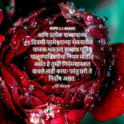 Picture 04 - मत्तय 12:5 MARIRV - आणि प्रत्येक - Bible Verse Picture