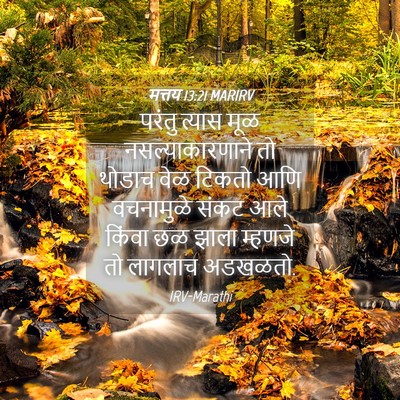 Picture 04 - मत्तय 13:21 MARIRV - परंतु त्यास मूळ - Bible Verse Picture