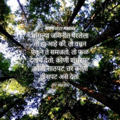 Picture 04 - मत्तय 13:23 MARIRV - चांगल्या जमिनीत - Bible Verse Picture