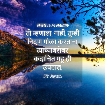 Picture 04 - मत्तय 13:29 MARIRV - तो म्हणाला, नाही. - Bible Verse Picture