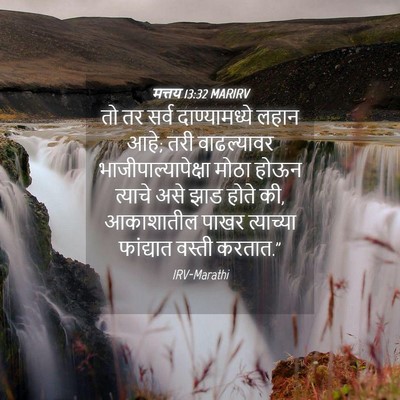 Picture 04 - मत्तय 13:32 MARIRV - तो तर सर्व - Bible Verse Picture