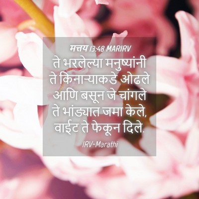 Picture 04 - मत्तय 13:48 MARIRV - ते भरलेल्या - Bible Verse Picture