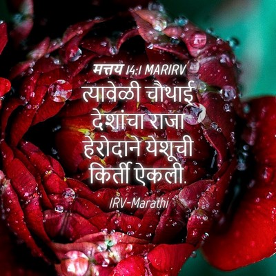 Picture 04 - मत्तय 14:1 MARIRV - त्यावेळी चौथाई - Bible Verse Picture