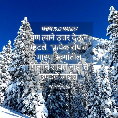 Picture 04 - मत्तय 15:13 MARIRV - पण त्याने उत्तर - Bible Verse Picture