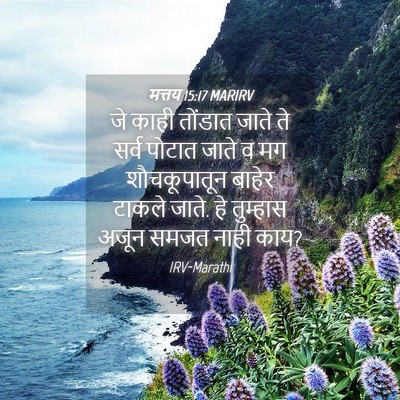 Picture 04 - मत्तय 15:17 MARIRV - जे काही तोंडात - Bible Verse Picture