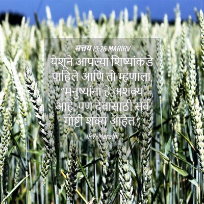 Picture 04 - मत्तय 19:26 MARIRV - येशूने आपल्या - Bible Verse Picture