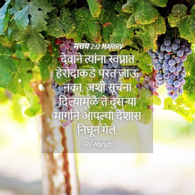 Picture 04 - मत्तय 2:12 MARIRV - देवाने त्यांना - Bible Verse Picture