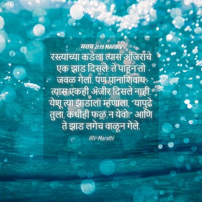 Picture 04 - मत्तय 21:19 MARIRV - रस्त्याच्या कडेला - Bible Verse Picture