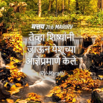 Picture 04 - मत्तय 21:6 MARIRV - तेव्हा शिष्यांनी - Bible Verse Picture