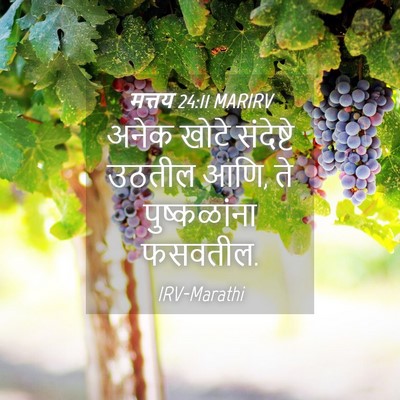 Picture 04 - मत्तय 24:11 MARIRV - अनेक खोटे - Bible Verse Picture