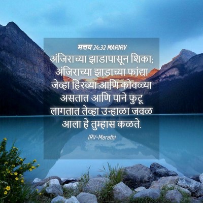 Picture 04 - मत्तय 24:32 MARIRV - अंजिराच्या - Bible Verse Picture