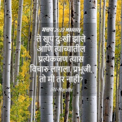 Picture 04 - मत्तय 26:22 MARIRV - ते खूप दुःखी झाले - Bible Verse Picture