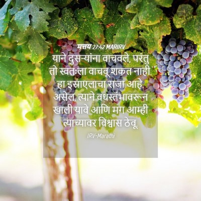Picture 04 - मत्तय 27:42 MARIRV - याने दुसऱ्यांना - Bible Verse Picture