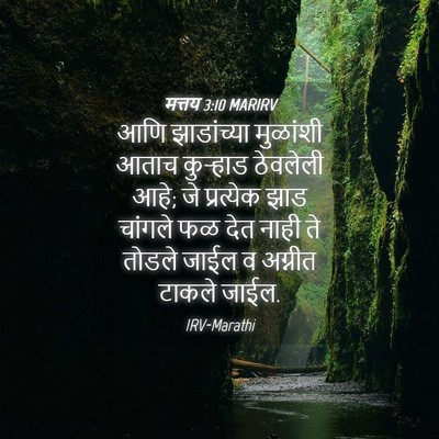 Picture 04 - मत्तय 3:10 MARIRV - आणि झाडांच्या - Bible Verse Picture