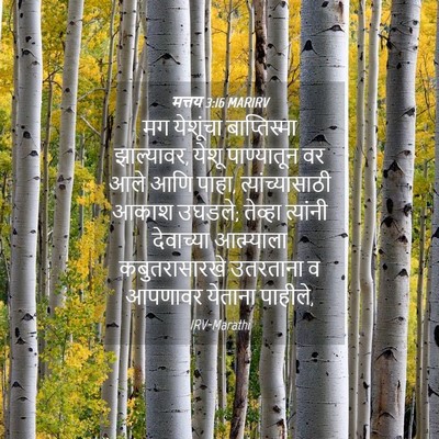Picture 04 - मत्तय 3:16 MARIRV - मग येशूंचा - Bible Verse Picture