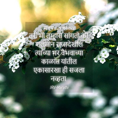 Picture 04 - मत्तय 6:29 MARIRV - तरी मी तुम्हास - Bible Verse Picture