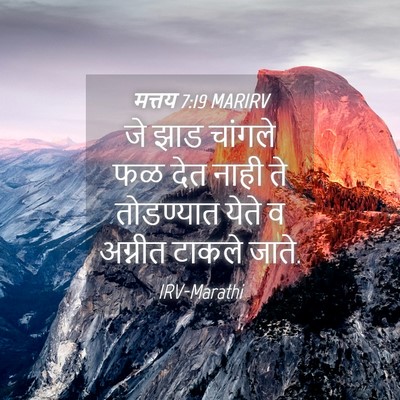 Picture 04 - मत्तय 7:19 MARIRV - जे झाड चांगले फळ - Bible Verse Picture