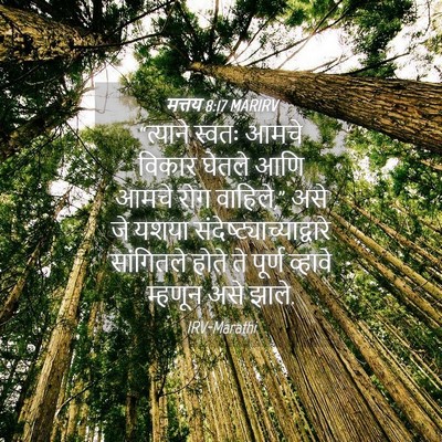 Picture 04 - मत्तय 8:17 MARIRV - “त्याने स्वतः - Bible Verse Picture