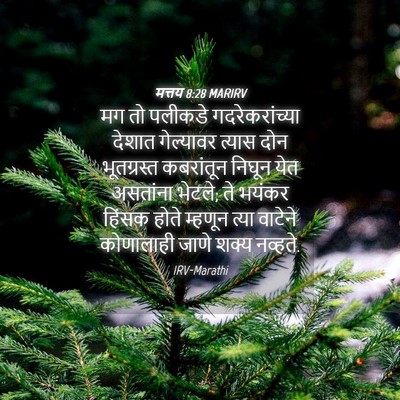 Picture 04 - मत्तय 8:28 MARIRV - मग तो पलीकडे - Bible Verse Picture