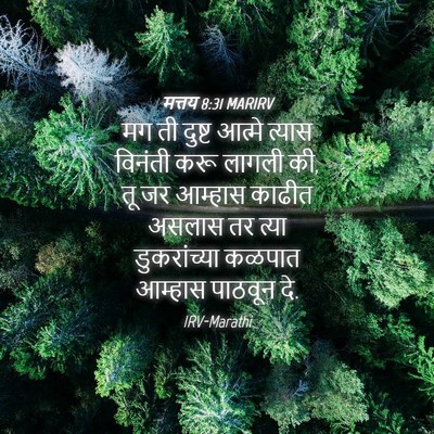 Picture 04 - मत्तय 8:31 MARIRV - मग ती दुष्ट आत्मे - Bible Verse Picture