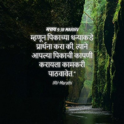 Picture 04 - मत्तय 9:38 MARIRV - म्हणून पिकाच्या - Bible Verse Picture