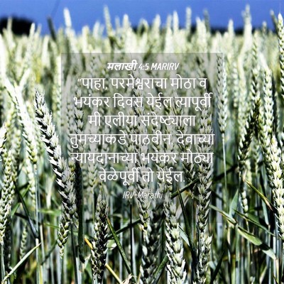 Picture 04 - मलाखी 4:5 MARIRV - “पाहा, - Bible Verse Picture