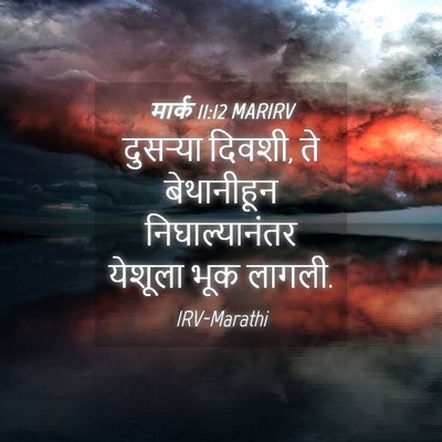 Picture 04 - मार्क 11:12 MARIRV - दुसऱ्या दिवशी, ते - Bible Verse Picture
