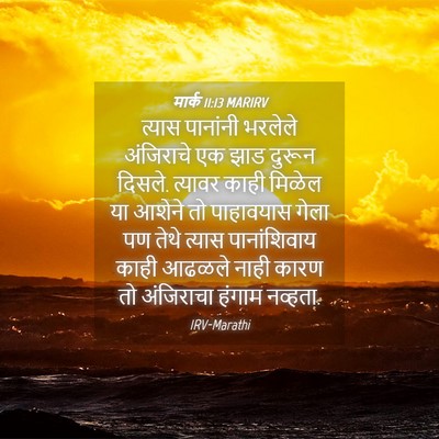 Picture 04 - मार्क 11:13 MARIRV - त्यास पानांनी - Bible Verse Picture