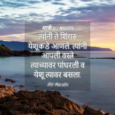 Picture 04 - मार्क 11:7 MARIRV - त्यांनी ते शिंगरु - Bible Verse Picture
