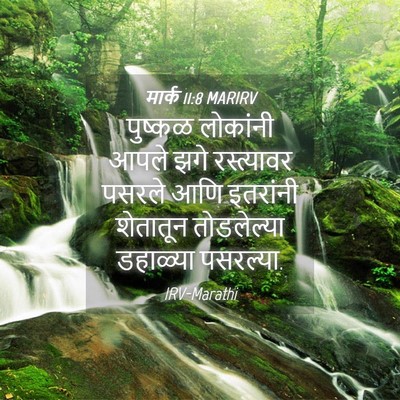 Picture 04 - मार्क 11:8 MARIRV - पुष्कळ लोकांनी - Bible Verse Picture