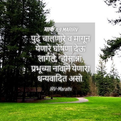 Picture 04 - मार्क 11:9 MARIRV - पुढे चालणारे व - Bible Verse Picture