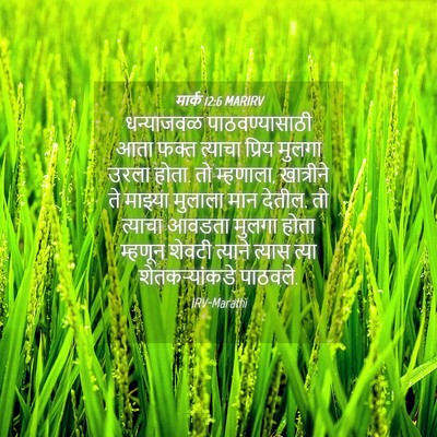 Picture 04 - मार्क 12:6 MARIRV - धन्याजवळ - Bible Verse Picture