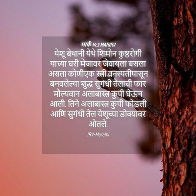 Picture 04 - मार्क 14:3 MARIRV - येशू बेथानी येथे - Bible Verse Picture