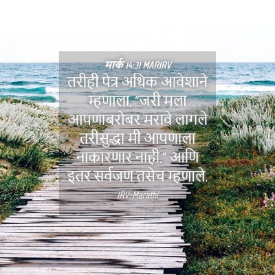 Picture 04 - मार्क 14:31 MARIRV - तरीही पेत्र अधिक - Bible Verse Picture
