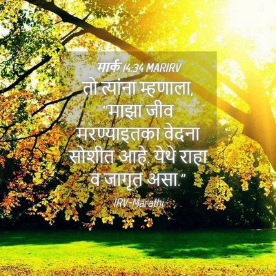 Picture 04 - मार्क 14:34 MARIRV - तो त्यांना - Bible Verse Picture