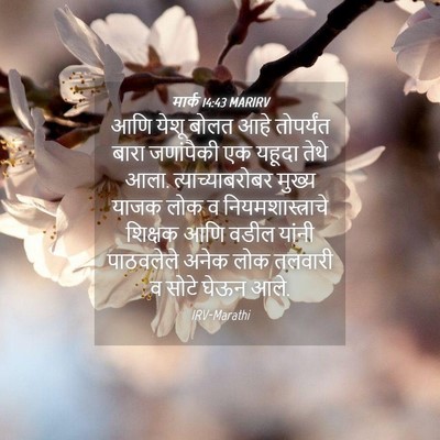 Picture 04 - मार्क 14:43 MARIRV - आणि येशू बोलत आहे - Bible Verse Picture