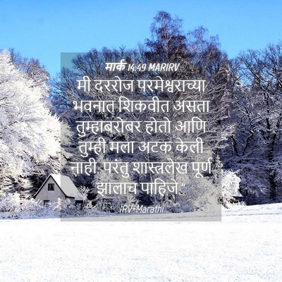 Picture 04 - मार्क 14:49 MARIRV - मी दररोज - Bible Verse Picture