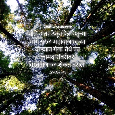 Picture 04 - मार्क 14:54 MARIRV - थोडे अंतर ठेवून - Bible Verse Picture