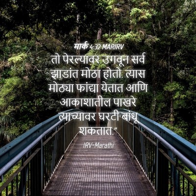 Picture 04 - मार्क 4:32 MARIRV - तो पेरल्यावर - Bible Verse Picture
