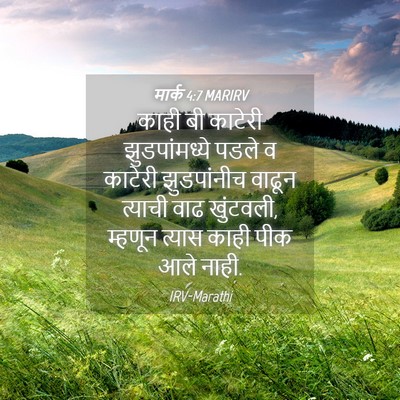 Picture 04 - मार्क 4:7 MARIRV - काही बी काटेरी - Bible Verse Picture
