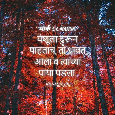 Picture 04 - मार्क 5:6 MARIRV - येशूला दुरून - Bible Verse Picture