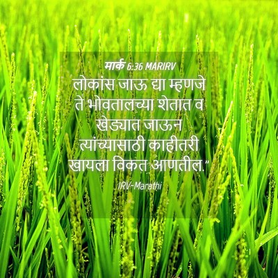 Picture 04 - मार्क 6:36 MARIRV - लोकांस जाऊ द्या - Bible Verse Picture