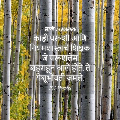 Picture 04 - मार्क 7:1 MARIRV - काही परूशी आणि - Bible Verse Picture