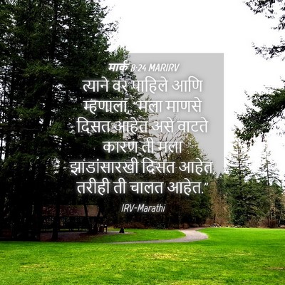 Picture 04 - मार्क 8:24 MARIRV - त्याने वर पाहिले - Bible Verse Picture