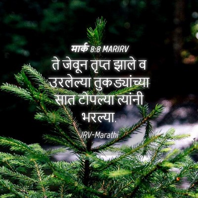 Picture 04 - मार्क 8:8 MARIRV - ते जेवून तृप्त - Bible Verse Picture