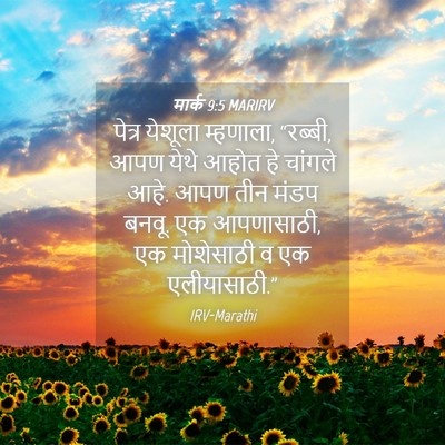 Picture 04 - मार्क 9:5 MARIRV - पेत्र येशूला - Bible Verse Picture