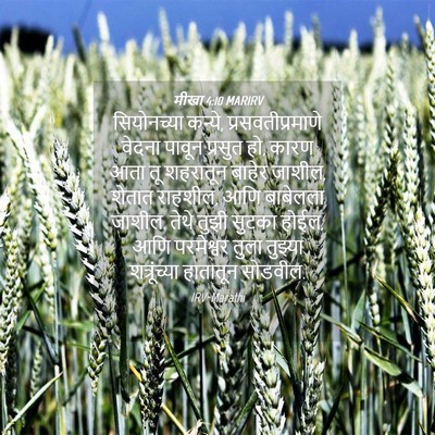 Picture 04 - मीखा 4:10 MARIRV - सियोनच्या कन्ये, - Bible Verse Picture